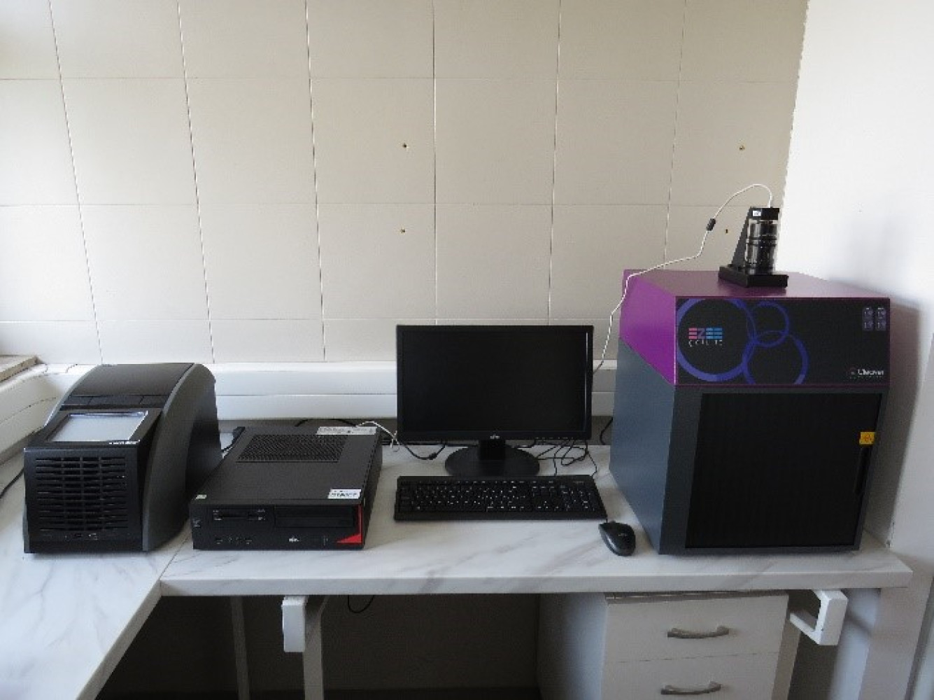 Univerzitet Crne Gore